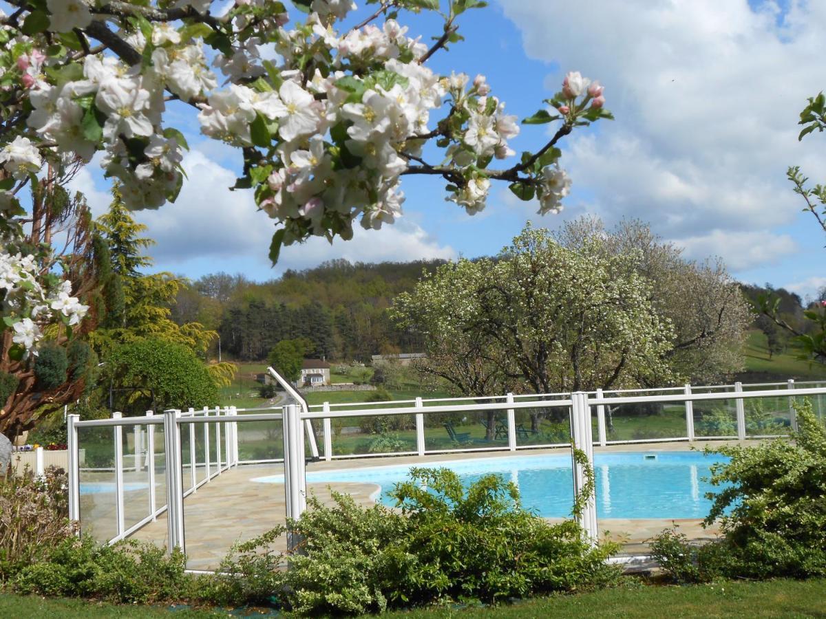 Les Maisons De Concasty Boisset (Cantal) Exterior foto