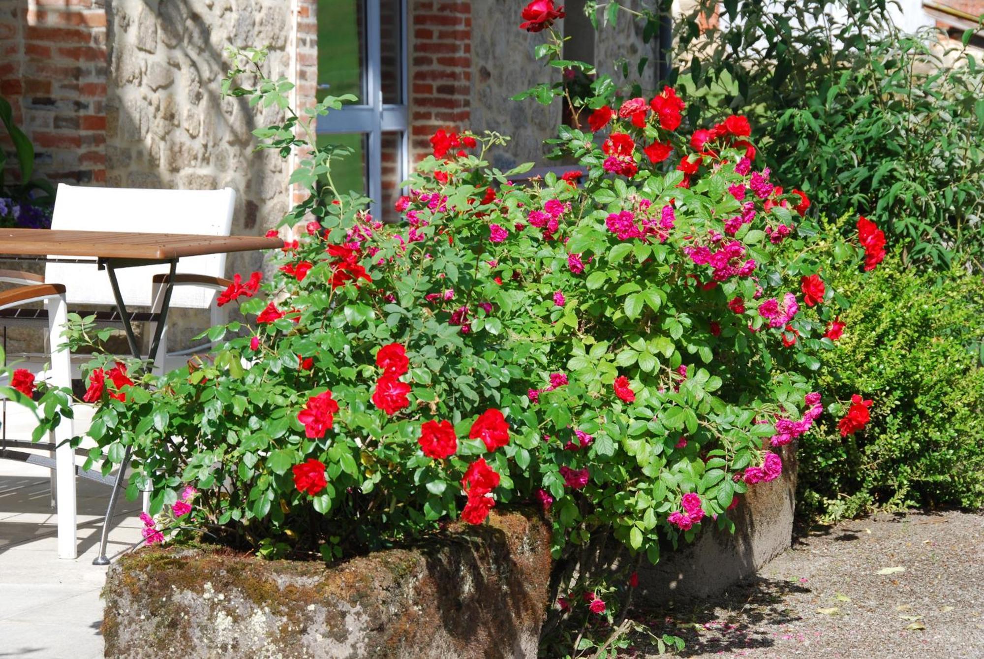 Les Maisons De Concasty Boisset (Cantal) Quarto foto