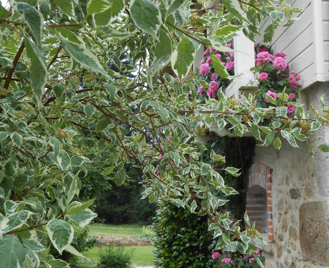 Les Maisons De Concasty Boisset (Cantal) Exterior foto